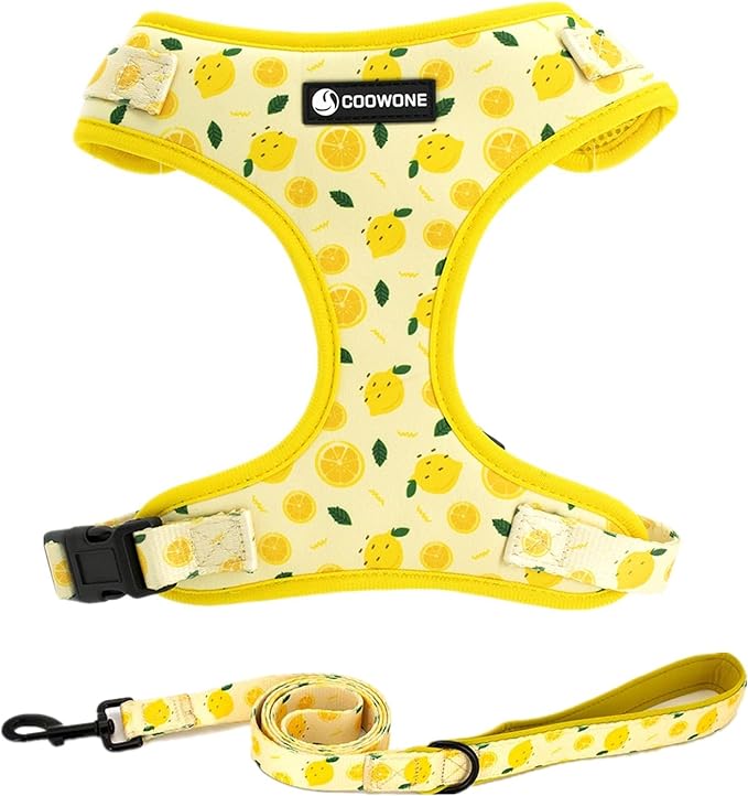 Dog Harness and Leash Set, Adjustable Dog Harness, Dog Leash, No Pull No Choke Puppy Harnesses for Walking Training for Small Medium Pet