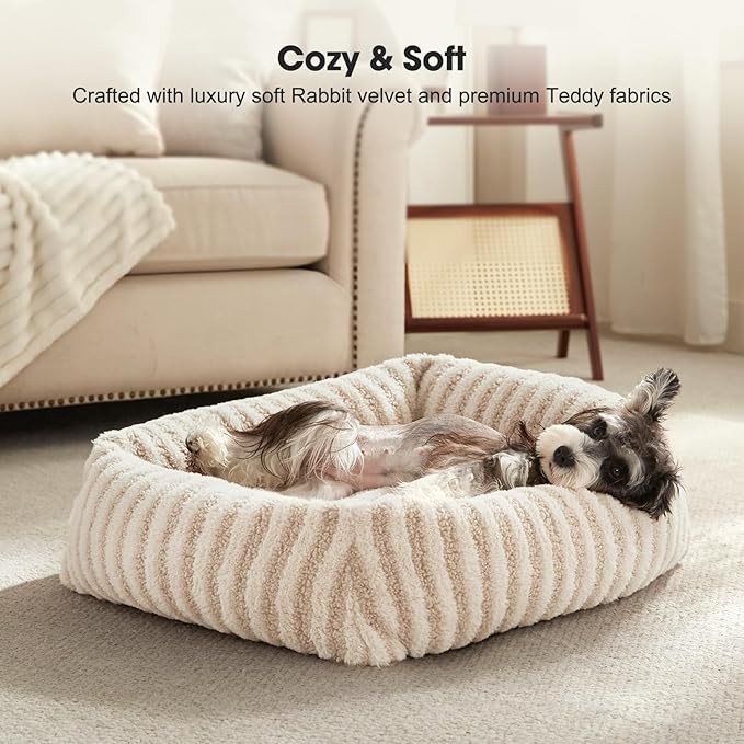 MIXJOY Dog Beds for Small Dogs Cats, Washable Dog Bed with Removable Cover, Soft Calming Cat Bed for Indoor Cats, Rectangle Pet Sofa Bed for Puppy Kitty, Anti-Slip Bottom,20"x19"x6", White