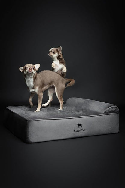 NOAH & PAW Dog Bed, 28x23x7.5 Inch, Orthopedic Dog Beds for Medium Size Pets, Eggshell Memory Foam Infused with Cooling Gel, Waterproof, Machine Washable, Includes Inner Cover (Velvet Collection)