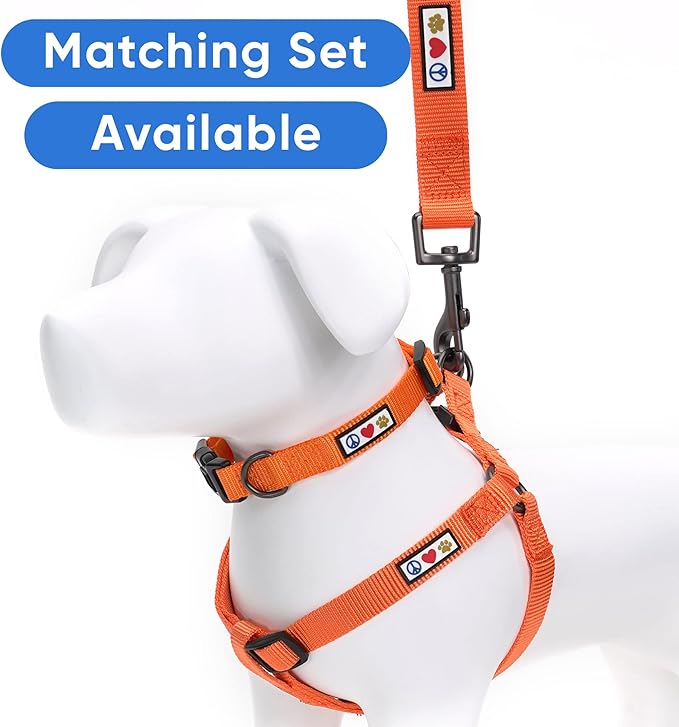 Pawtitas Solid 6 ft Orange Dog Leash M/L Custom Name and Phone Embroidery Strong Nylon Leash for Medium and Large Breeds