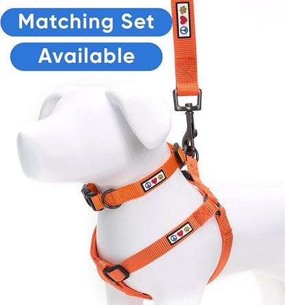 Pawtitas Solid 6 ft Orange Dog Leash M/L Custom Name and Phone Embroidery Strong Nylon Leash for Medium and Large Breeds