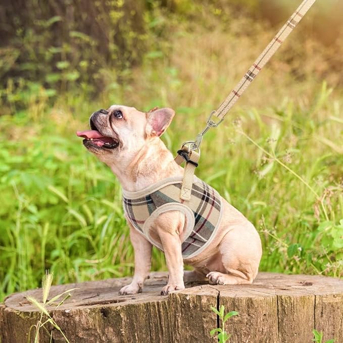 PUPTECK Soft Mesh Dog Harness and Leash Set Step-in Plaid Puppy Padded No Pull Vest Harness for XS Small Medium Sized Dogs Cats Outdoor Walking, Beige L