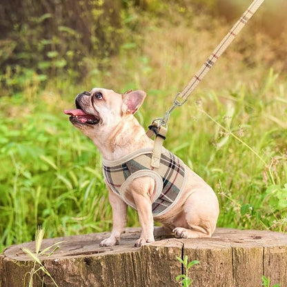 PUPTECK Soft Mesh Dog Harness and Leash Set Step-in Plaid Puppy Padded No Pull Vest Harness for XS Small Medium Sized Dogs Cats Outdoor Walking, Beige L