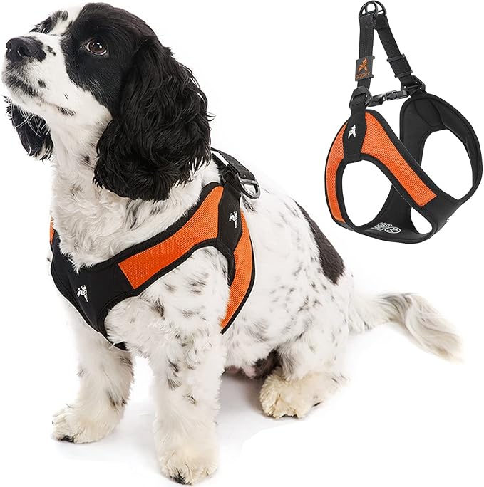Gooby Escape Free Easy Fit Harness - Orange, Large - No Pull Step-in Patented Small Dog Harness with Quick Release Buckle - Perfect On The Go No Pull Harness for Small Dogs or Medium Dog Harness