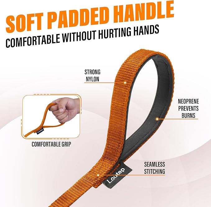 Dog Training Leash - Long Line for Recall & Obedience, Nylon Training Lead with Padded Handle, 15 ft / 20 ft / 30 ft / 50 ft / 100 ft - Long Leash for Dogs Outside, Small/Medium/Large