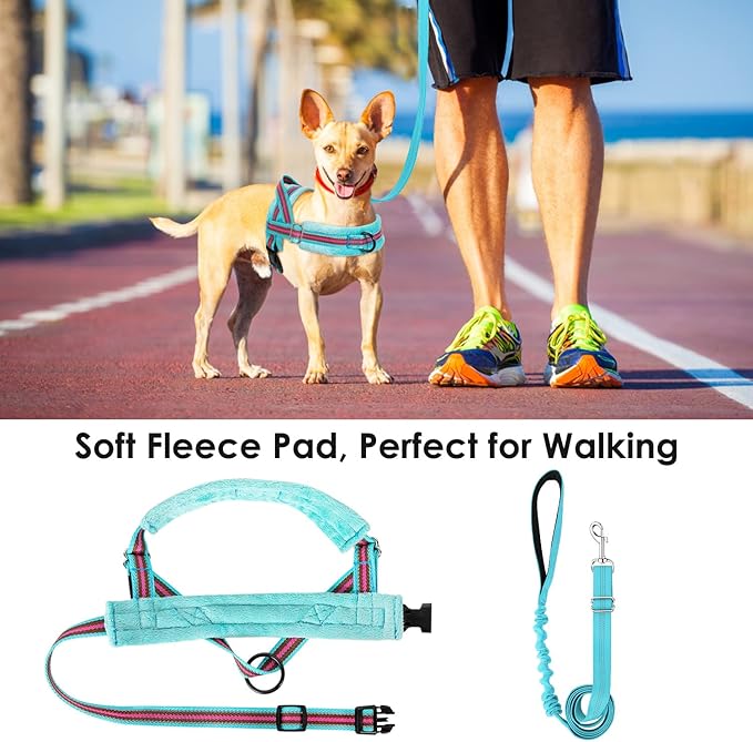Lukovee No Pull Dog Harness and Leash Set, Soft Padded Small Dog Harness, Neck & Chest Adjustable Reflective Vest Puppy Harness with 4ft Lightweight Anti-Twist Dog Leash for Small Dogs (S, 01-LBL)