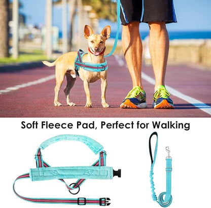 Lukovee No Pull Dog Harness and Leash Set, Soft Padded Small Dog Harness, Neck & Chest Adjustable Reflective Vest Puppy Harness with 4ft Lightweight Anti-Twist Dog Leash for Small Dogs (S, 01-LBL)