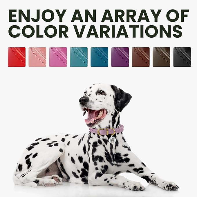 BRONZEDOG Rolled Leather Dog Collar for Small Medium Large Dogs with QR ID Tag… (Plum, XS: 9-11 Inch)