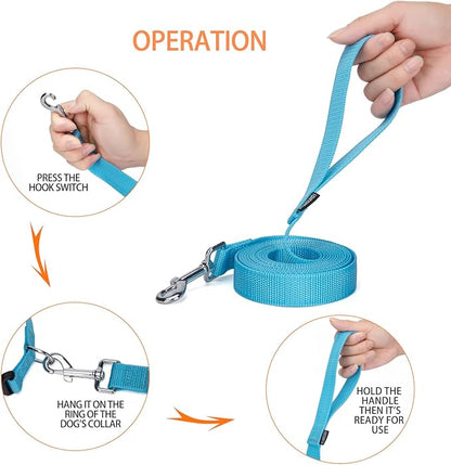 Siumouhoi Strong Durable Nylon Dog Training Leash, 1 Inch Wide Traction Rope, 10 ft Long, for Small and Medium Dog (Mint Blue, 10 Feet)