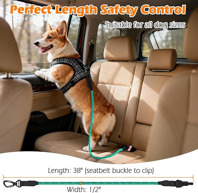 PetBonus Dog Seat Belt for Car, Durable Rope Dog Car Harness Seatbelt for Vehicle, Pet Tether Safety Restraint with Heavy Duty Buckle Hook Latch Lockable Clip for Small Medium Large Breeds (Turquoise)