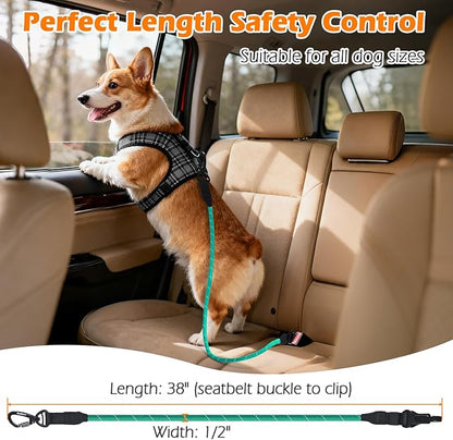 PetBonus Dog Seat Belt for Car, Durable Rope Dog Car Harness Seatbelt for Vehicle, Pet Tether Safety Restraint with Heavy Duty Buckle Hook Latch Lockable Clip for Small Medium Large Breeds (Turquoise)