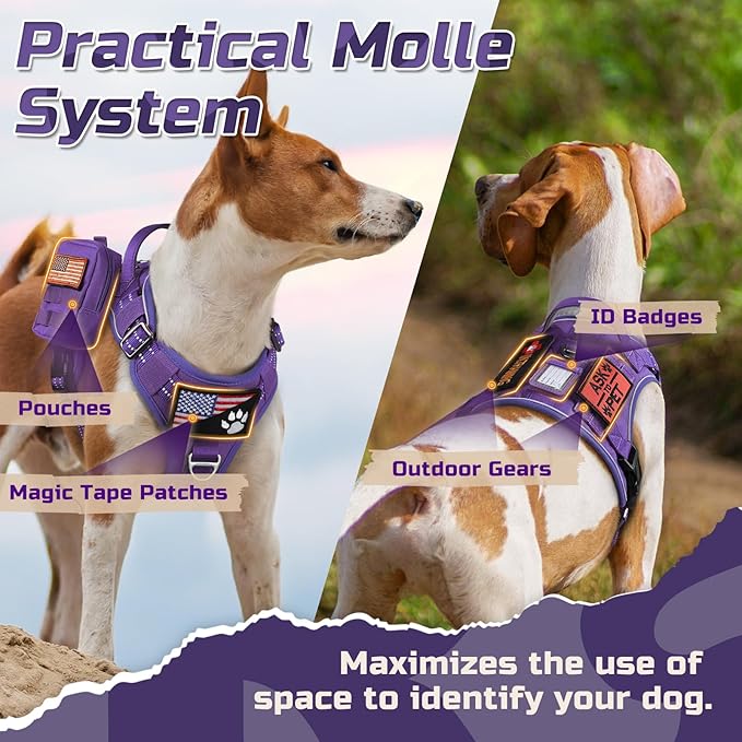 rabbitgoo Tactical Dog Harness for Large Dogs, No Pull Military Service Vest with Handle & Molle, Easy Control for Training Walking, Adjustable Reflective Straps, Purple, XL