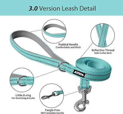 AIITLE No Pull Dog Harness and Leash Set, Step in Adjustable Dog Harness with Padded Vest for All Weather, Dog Leash with Soft Padded Handle, Easy to Put on Small and Medium Dogs Pure Turquoise S
