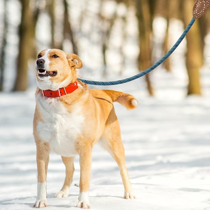 Mile High Life Rope Leash with Genuine Leather Connection, 6 FT/5 FT/4 FT, Heavy Duty Leash for Medium & Large Dogs (Turquoise Green, 48 Inch)