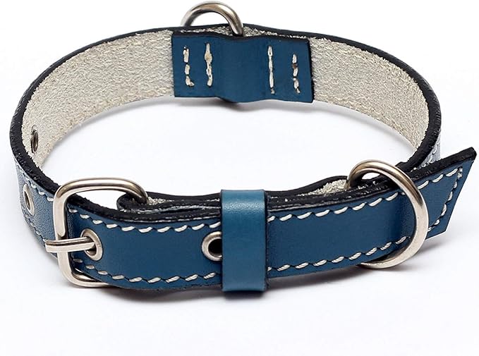 Premium Leather Collars with Stainless Steel Buckles (12"-15", Blue)