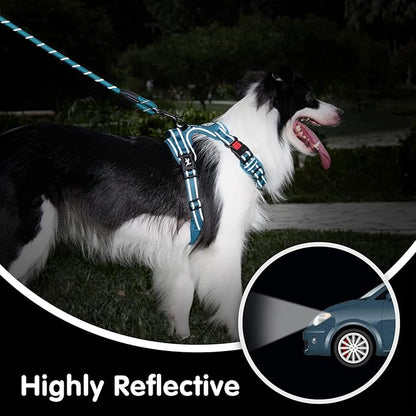PoyPet No Pull Dog Harness and 5 Feet Leash Set, Release on Neck Reflective Adjustable Pet Vest, Front & Back 2 D-Ring and Soft Padded Pet Harness with Handle for Small to Large Dogs(Tumalo Teal,M)