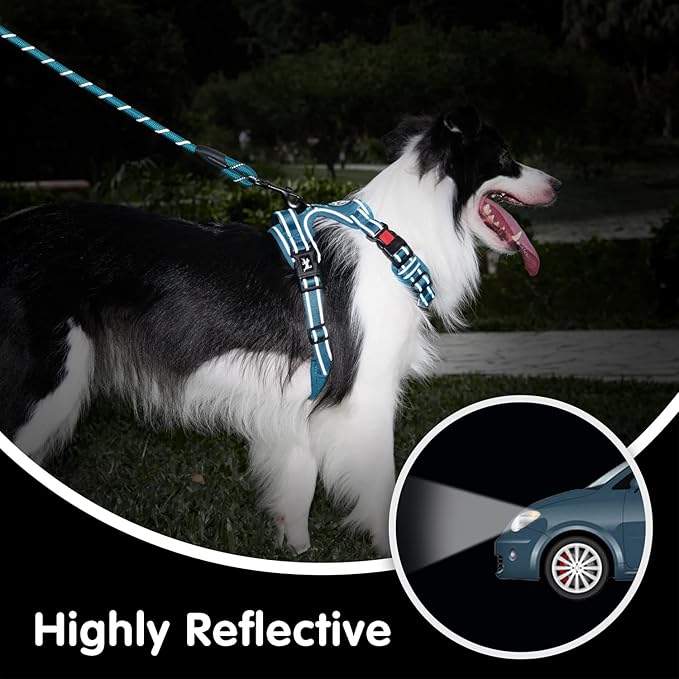 PoyPet No Pull Dog Harness and 5 Feet Leash Set, Release on Neck Reflective Adjustable Pet Vest, Front & Back 2 D-Ring and Soft Padded Pet Harness with Handle for Small to Large Dogs(Tumalo Teal,L)