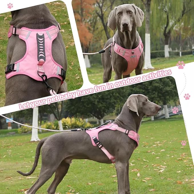 Dog Harness No Pull Adjustable Reflective,for Medium and Large Small Dog with Leash 59.06in (Pink, XS)