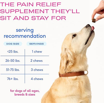Native Pet Pain Relief for Dogs - Collagen for Dogs Promotes Joint Health, Reduce Inflammation & Stiffness - Senior Pup Joint Supplement - Natural Pain Reliever for Active & Aging Pets - 120 Chews