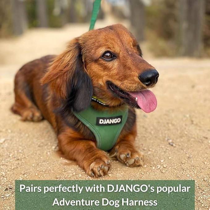 DJANGO Adventure Dog Leash – Strong, Comfortable, and Stylish Dog Leash with Solid Brass Hardware and Padded Handle - Designed for Outdoor Adventures and Everyday Use (Forest Green)