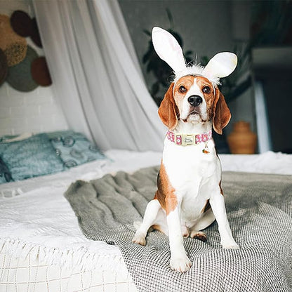 Easter Dog Collar-Cute Rabbit Adjustable Pet Collar Soft Pink Holiday Puppy Collar Comfortable Cotton Necklace Gift for Small Dogs