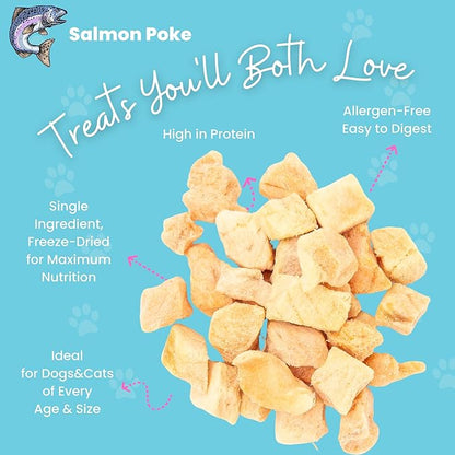 hotspot pets Freeze Dried Salmon Treats for Cats & Dogs -Made in USA-1LB Resealable Big Bag -Single Ingredient, High Protein, All Natural Grain-Free- Perfect for Training, Topper or Snack