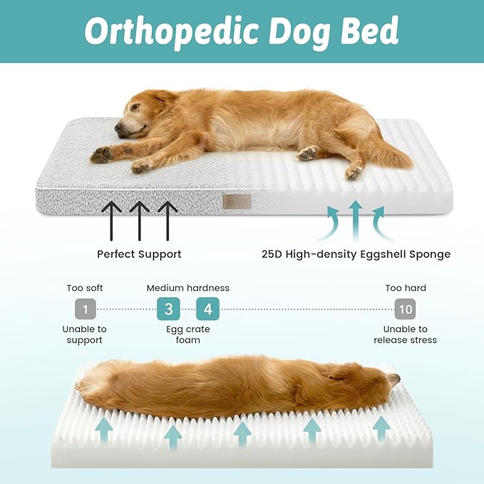COZY KISS Dog Bed for Extra Large Dogs, Rectangular XL Orthopedic Dog Beds, Foam Anti-Slip Bottom Pet Mat with Washable Removable Cover, Suitable for Pet Up to 100 lbs, 44x32x3 inch, Grey