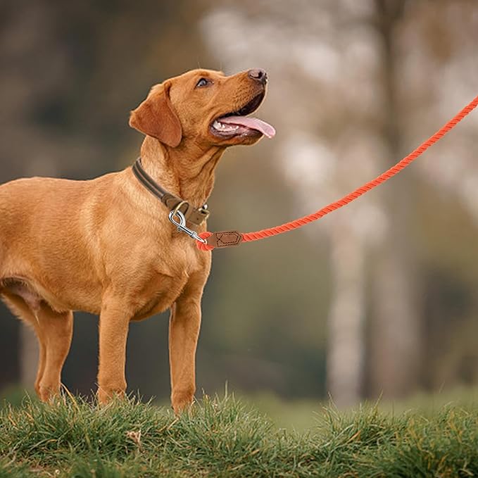Mile High Life Dog Leash, Braided Cotton Rope Leashes with Leather Handle - Heavy Duty Metal Clasp, 6FT, 1/2" Thick - Wedding, Walking & Training Leash for Small Medium Large Dogs (Orangeade)
