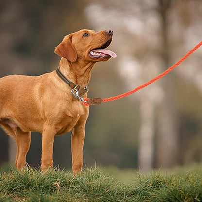 Mile High Life Dog Leash, Braided Cotton Rope Leashes with Leather Handle - Heavy Duty Metal Clasp, 6FT, 1/2" Thick - Wedding, Walking & Training Leash for Small Medium Large Dogs (Orangeade)