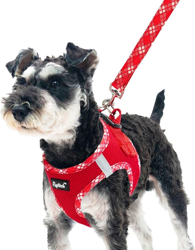 PUPTECK Dog Harness and Leash Set for Small Medium Dogs No Pull Step-in Soft Mesh Puppy Cat Vest Harnesses Reflective at Night, Red, XS
