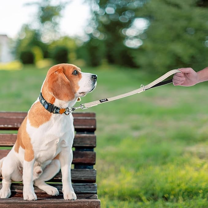 PUPTECK Reflective Dog Leash with Comfortable Padded Handle Durable Nylon Dog Lead for Small Medium and Large Dogs Cats Walking Running Training Outside, Beige