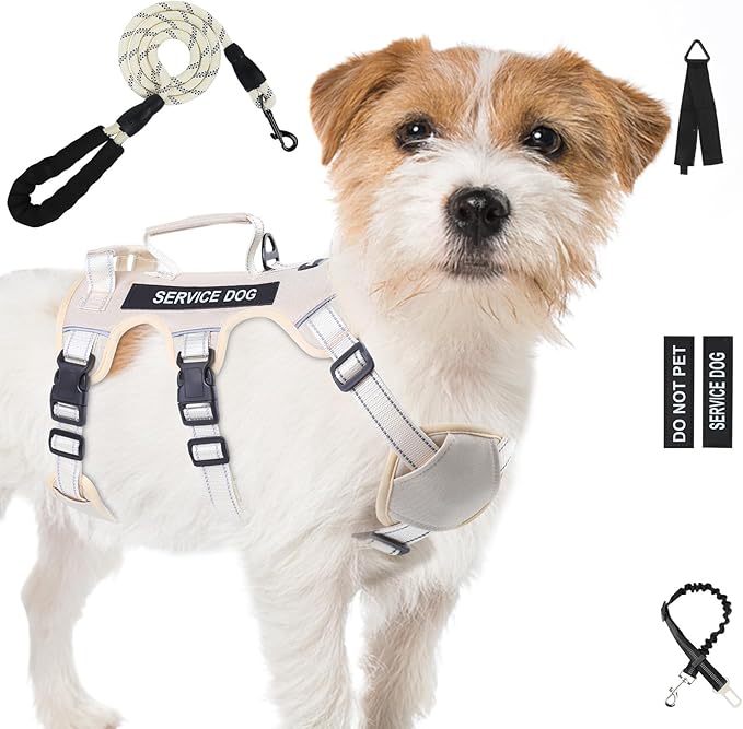 Escape Proof Dog Harness for Large Medium Sized Dogs Six Point Adjustable, Service Dog Vest Harness and Leash Set, No Pull Dogs Harnesses with Handle, Medium Dog Harnesses for Walking(Beige, S)