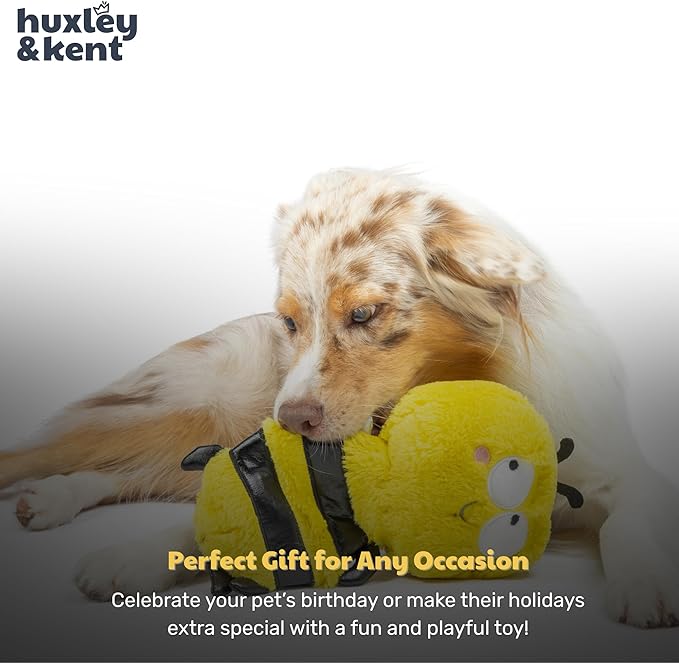 Huxley & Kent Funny Dog Toy w/Squeaker – Power Plush Squeaky Dog Toys for Small, Medium & Large Dogs – Soft Stuffed Animal for Indoor Play & Fetch - Slappies® Buzz Bee, Small