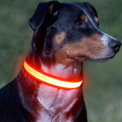 Vizpet LED Dog Collar, Light Up Dog Collar Adjustable USB Rechargeable Super Bright Safety Light Glowing Collars for Dogs(X-Large,Orange)
