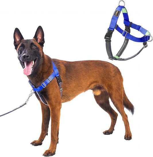 Freedom No Pull Dog Harness, Easy Walk with Two Stainless D-Rings, Front Clip, Comfortable, Sewn-in Instructions Tags for Easy Use, for Large Dogs Weight 60-80 lbs (Blue, L)
