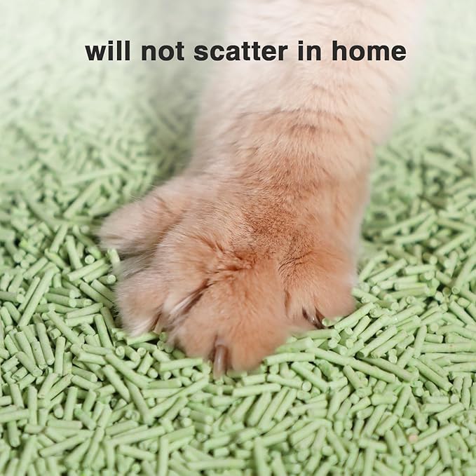 DI BI GRAMAS Cat Litter 24LB/4 Packs Dust-Free Clumping Tofu Cat Litter Quickly Absorb Odors Toilet Can Flush Into The Toilet Pure Natural tofu cat Litter (Green Tea)