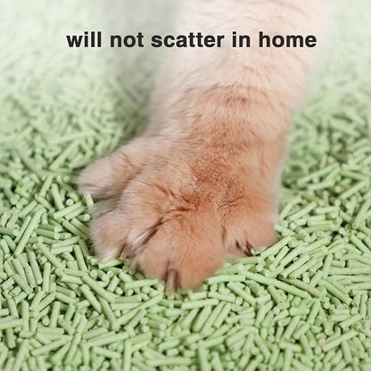 DI BI GRAMAS Cat Litter 24LB/4 Packs Dust-Free Clumping Tofu Cat Litter Quickly Absorb Odors Toilet Can Flush Into The Toilet Pure Natural tofu cat Litter (Green Tea)