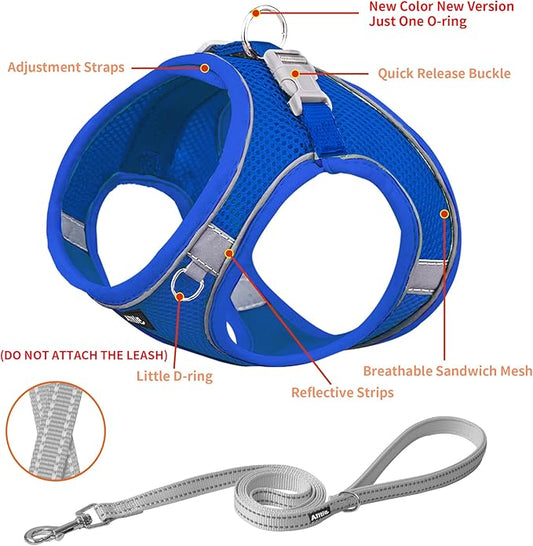 AIITLE Easy Walk Dog Harness and Leash Set - Pet Supply No Pull, Step in Adjustable Dog Harness with Padded Vest, Dog Harness No Choke Over, Easy to Put on Medium Dogs Royal Blue L