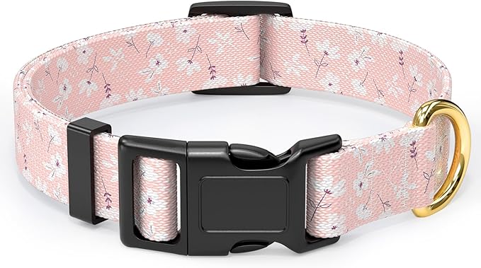 Rnivvi Dog Collar for Medium Dogs, Cute Floral Heavy Duty Adjustable Puppy Collar with Quick Release Buckle for Girl & Female, Pet Accessories for Walking Running, M Length 1" Width, Coral Pink