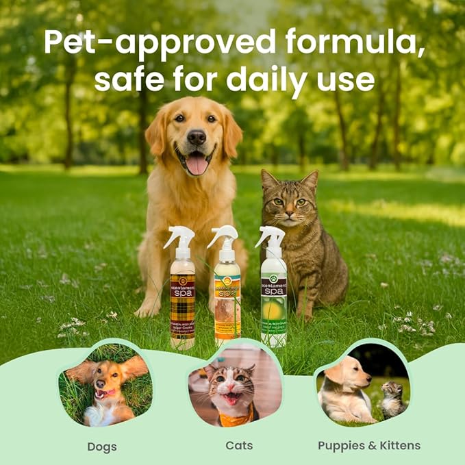 Best Shot Scentament Spa Botanical Body Splash for Dogs & Cats, Dog Cologne, Deodorizing Spray, Conditioning Pet Grooming Mist & Dog Detangler Spray, Apricot Lily Scent, 8 fl oz
