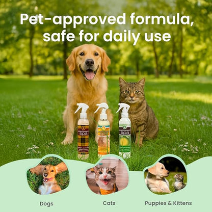Best Shot Scentament Spa Botanical Body Splash for Dogs & Cats, Dog Cologne, Deodorizing Spray, Conditioning Pet Grooming Mist & Dog Detangler Spray, Apricot Lily Scent, 8 fl oz
