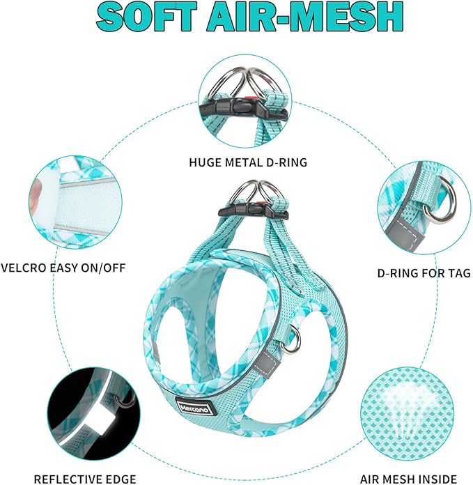 Mercano Soft Mesh Dog Harness and Leash Set, No-Chock Step-in Reflective Breathable Lightweight Easy Walk Vest Harnesses with Safety Buckle for Small Dogs, Cats (Light Blue, XL)