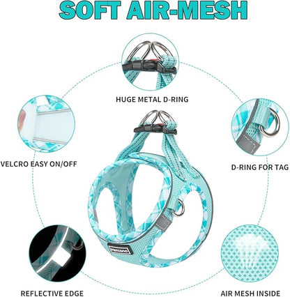 Mercano Soft Mesh Dog Harness and Leash Set, No-Chock Step-in Reflective Breathable Lightweight Easy Walk Vest Harnesses with Safety Buckle for Small Dogs, Cats (Light Blue, XL)