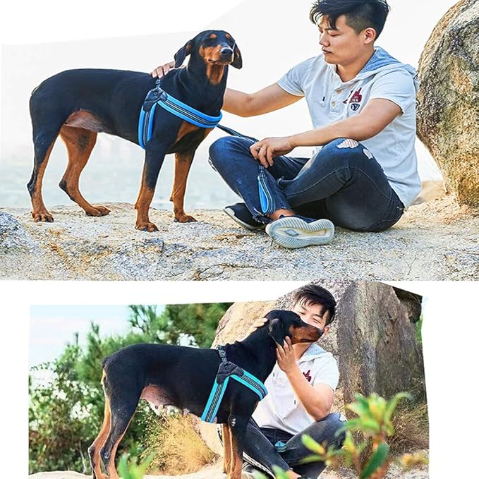 Dog Harness No Pull Ultra Soft Breathable Padded Pet Harness 2 Adjustable Botton, 3M Reflective Pet Harness for Dogs Easy Control for Small Medium Large Dogs