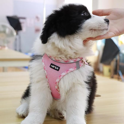 AMTOR Small Dog Harness with Leash Set, No Escape Easy Walk Puppy Harnesses for Training Walking, Step-in Reflective Soft Dogs Vest for XS S Medium Extra-Small Large Sized Dog(S Size,Pink/White)