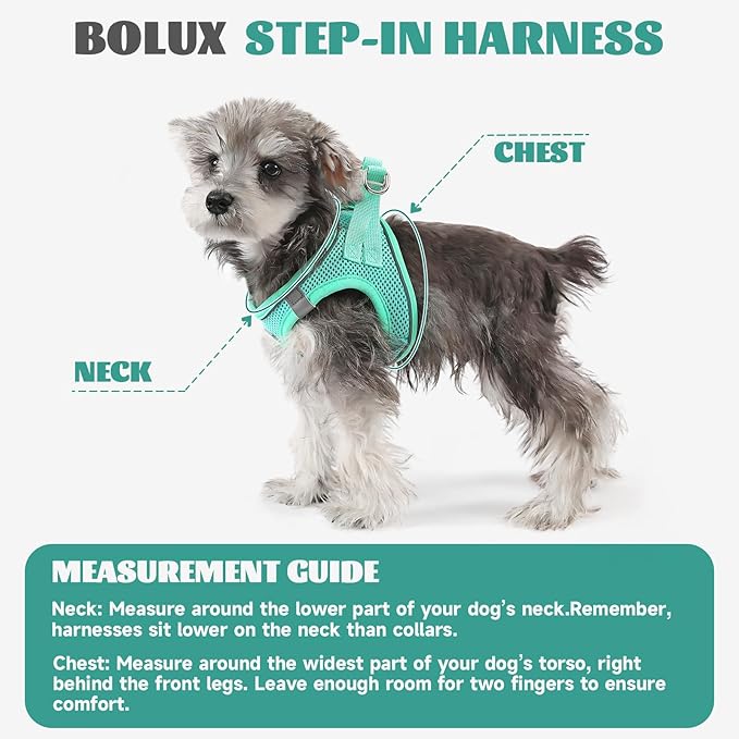 Bolux Dog Harness Small Sized and Leash Set, Step in Soft Light Puppy Vest, Breathable Mesh Pet Harness, Reflective for Safe Easy Walking.