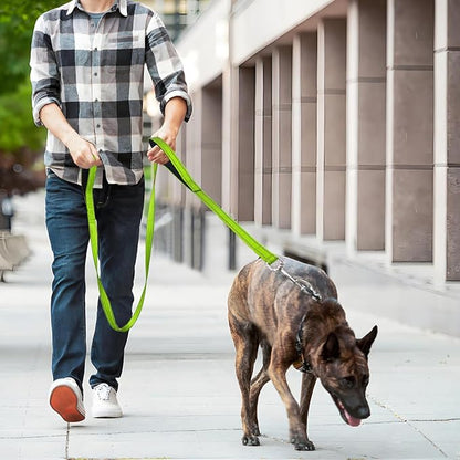 6 FT Dog Leash with 2 Padded Handle Nylon Reflective Dogs Leashes for Small Medium Large Dogs Green