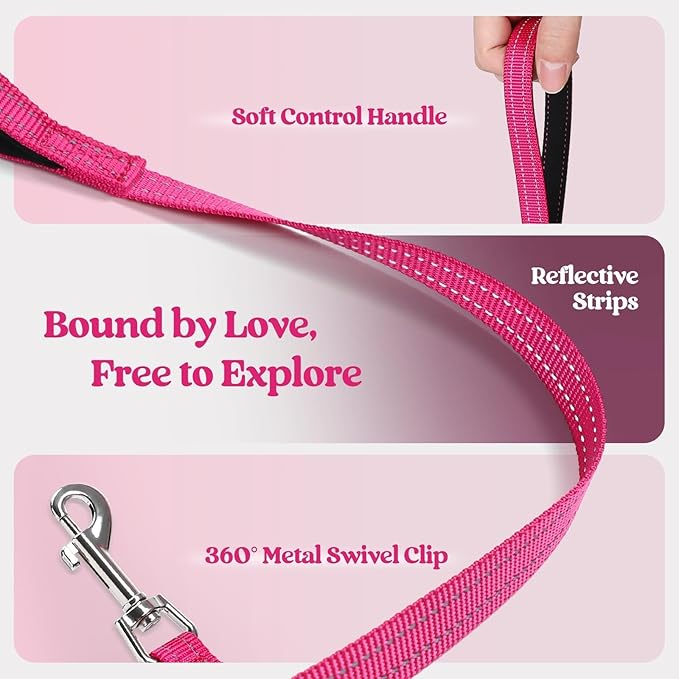 rabbitgoo Dog Harness Small Sized and Leash Set, Step in Soft Light Puppy Vest, Breathable Mesh Pet Harness, Reflective for Safe Easy Walking, Rosa Red XXXS