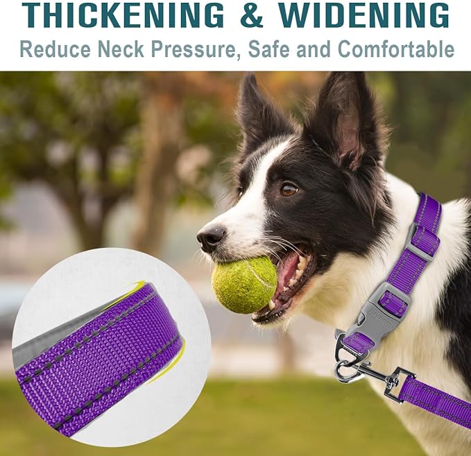 Dog Collar for Medium Small Large Dogs Reflective with Leash,Collar and Leash for Dogs,Soft Neoprene Padded 2 Pack(Purple,S)