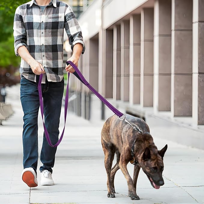 6 FT Dog Leash with 2 Padded Handle Nylon Reflective Dogs Leashes for Small Medium Large Dogs Purple